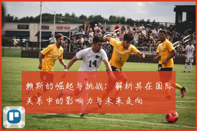 赖斯的崛起与挑战：解析其在国际关系中的影响力与未来走向